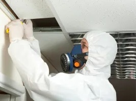 affordable asbestos removal services