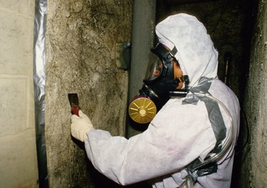 proper asbestos removal